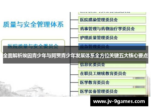 全面解析埃因青少年与阿贾青少年发展体系全方位关键五大核心要点 全面解析埃因青少年与阿贾青少年发展体系全方位关键五大核心要点